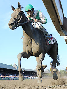 Royal Delta