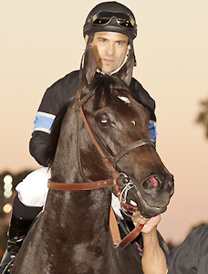 Shared Belief after winning the CashCall Futurity.