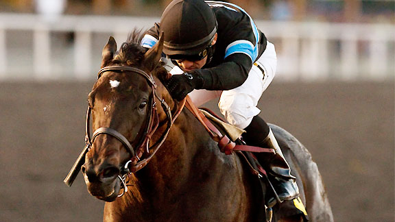 Shared Belief wins the 2013 CashCall Futurity.