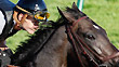 Take Charge Indy and jockey Calvin Borel.