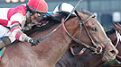 Normandy Invasion