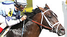 Verrazano
