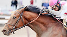 Vyjack wins the 2013 Gotham Stakes.