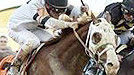 Will Take Charge
