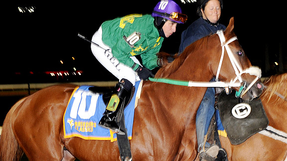 Lucy's Bob Boy wins the 2012 West Virginia Breeders' Classic.