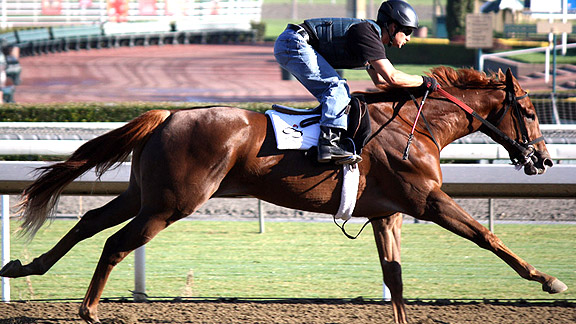 Weemissfrankie trains at Churchill Downs