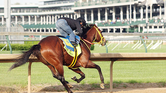 Wildcat Red works for the 2014 Kentucky Derby.