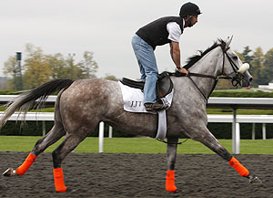 Winter Memories works at Keeneland.