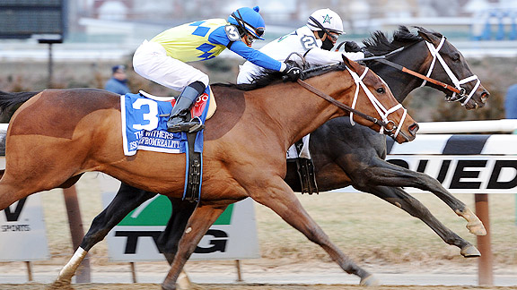 Revolutionary wins the 2013 Withers Stakes at Aqueduct.