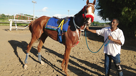 Yvette Sangalo looks for victory in the Classico.