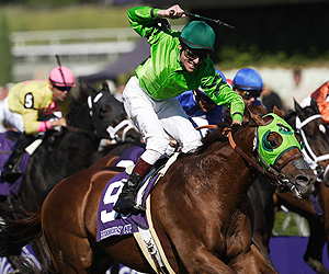 Richard Migliore and Desert Code