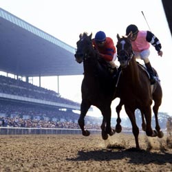 Affirmed vs. Alydar