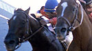 Affirmed (inside) wins the 1978 Belmont Stakes and the Triple Crown.