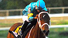 Bambera wins the 2009 of the Clasico del Caribe at Hipodromo Camarero in Puerto.