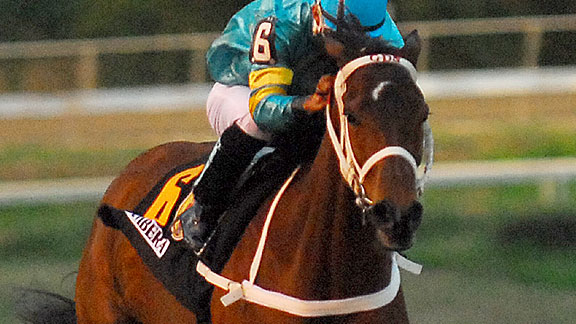 Bambera wins the 2009 of the Clasico del Caribe at Hipodromo Camarero in Puerto.
