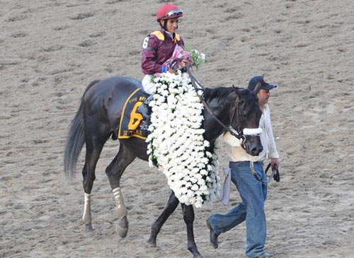 Belmont Park 140