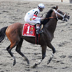 Kent Desormeaux pulls up Big Brown during the 2008 Belmont Stakes.