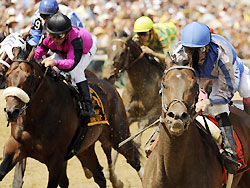 Blame, right, gives trainer Al Stall a real shot at a Breeders' Cup Classic title.