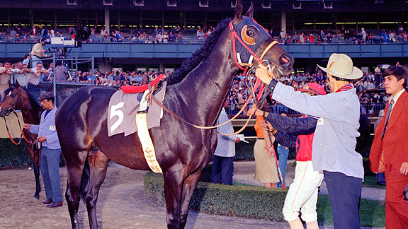 70年代 イギリスの競走馬 雑誌「The British Racehorse」 本