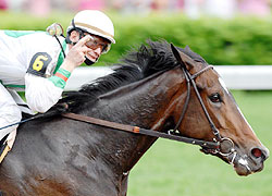 Calvin Borel and Rachel Alexandra win the 134th running of the Preakness Stakes.