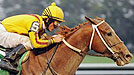 Curlin