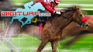 Digiturf.com