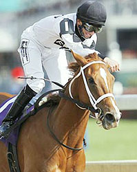 Rene Douglas, aboard Dreaming of Anna, captures the 2006 Breeders' Cup Juvenile Fillies.