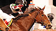 Breeders' Cup Filly & Mare Turf