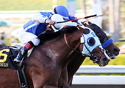 Game On Dude takes the 2011 edition of the Santa Anita Handicap.