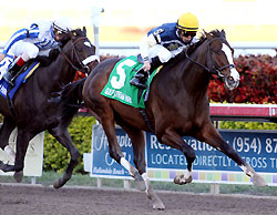 Soaring Empire beats Rule to the wire in the 2011 Hal's Hope at Gulfstream Park.