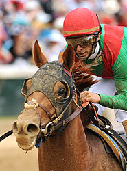 John Velazquez and Animal Kingdom
