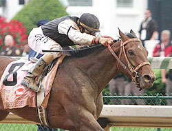 Mine That Bird, with Calvin Borel up, wins the 2009 Kentucky Derby.