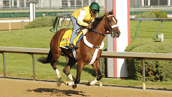 Mucho Macho Man