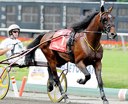 Dynaforce earned a BC Filly and Mare Turf spot with a win in Saturday's Beverly D. Stakes at Arlington Park.