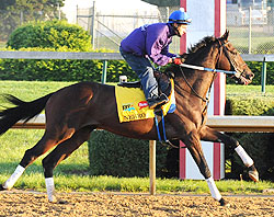 Nehro preps for the 2011 Kentucky Derby.