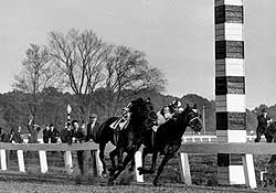 Seabiscuit (inside) and War Admiral battle in their legendary duel.