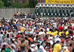 Infield fans watch the start of Preakness 132 at Pimlico Race Course in Baltimore, Md.