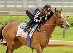 Plum Pretty works at Churchill Downs in May of 2011.