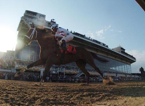 Preakness 133