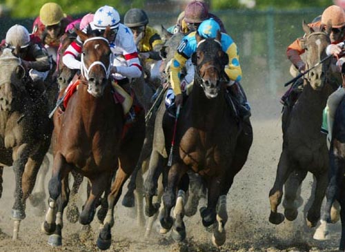 Preakness 133