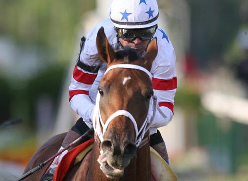 Preakness 133