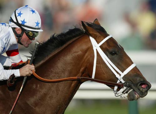 Preakness 133