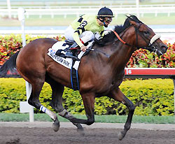Florida Derby winner Quality Road will now run for trianer Todd Pletcher.