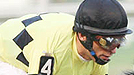 Quality Road wins the Donn Handicap