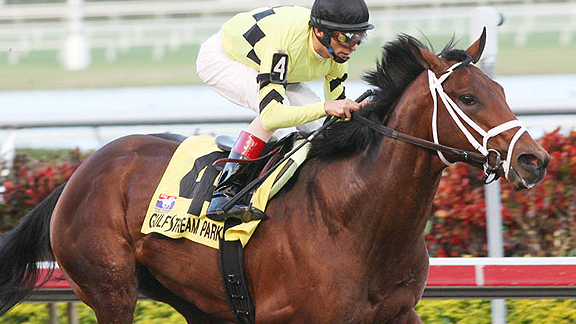 Quality Road wins the Donn Handicap