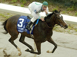 Rachel Alexandra, with Calvin Borel up, wins the Louisiana Oaks at Fair Grounds.