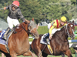 Persistently (left) caught Rachel Alexandra at the wire on Sunday.