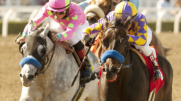 Gladding wins the 2011 San Antonio Stakes at Santa Anita Park.