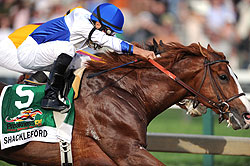 Shackleford takes the 2011 Preakness Stakes.