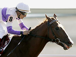 Jockey Rafael Bejarano guides Square Eddie to a win in the Lane's End Breeders' Futurity at Keeneland.